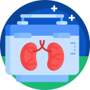 medical,healthcare and medical,health care,organs,lungs,organ donation ok 
